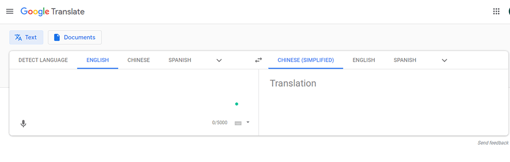 Google Translate Website Text