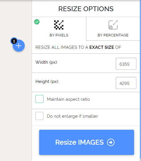 Opções de redimensionamento do iLoveIMG