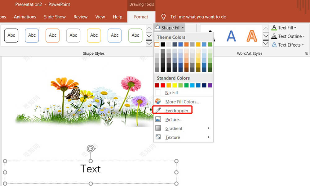 Microsoft PowerPoint Drawing Tools Formatieren der Pipette