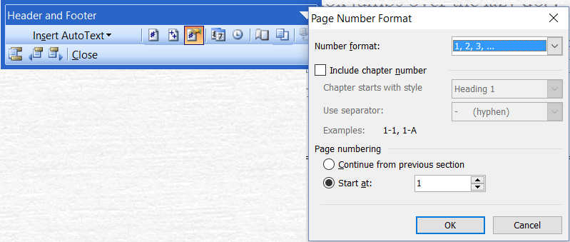 Format ng Numero ng Pahina ng Microsoft Word 2003