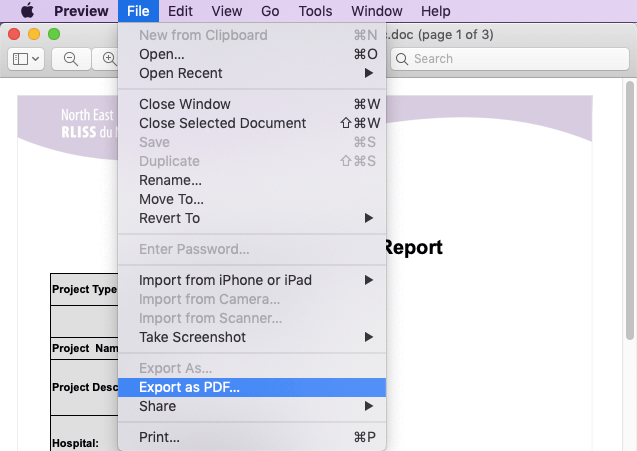 Mac Preview Esporta come PDF Word