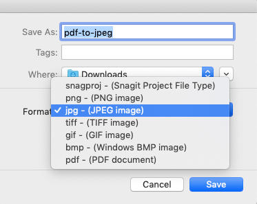 Snagit Salva PDF come JPEG