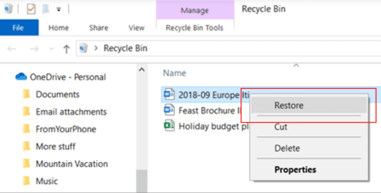 Windows System Recycle Bin Restore