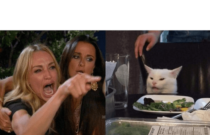 Mujer gritándole al gato Meme