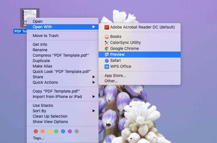Mac Preview 로 PDF 열기