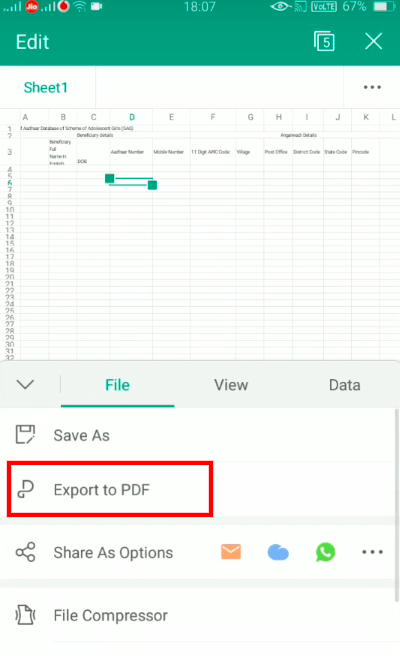 Esportazione WPS in PDF