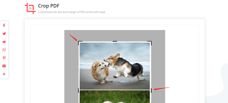 EasePDF Crop PDF Select Size to Crop